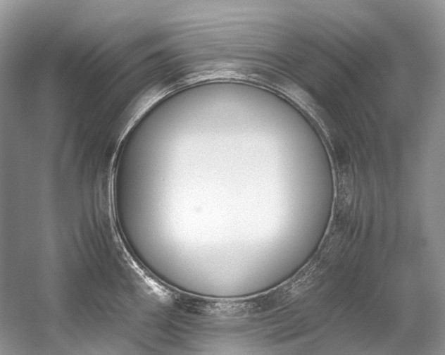 X0000059831290200510211203