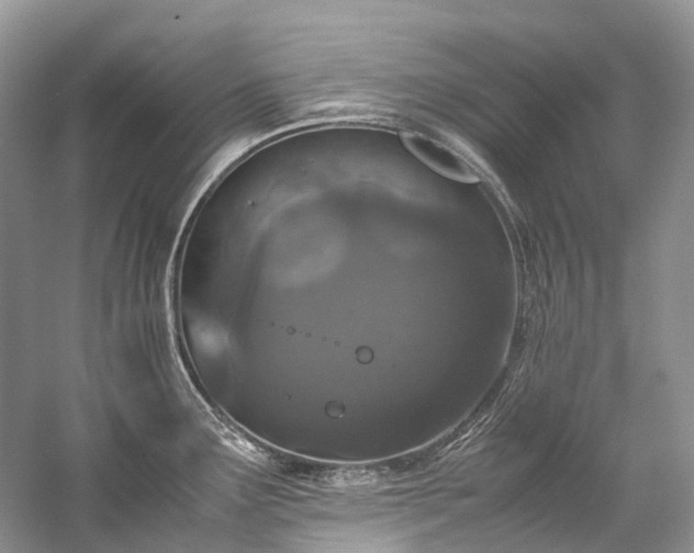 X0000059831291200510211203