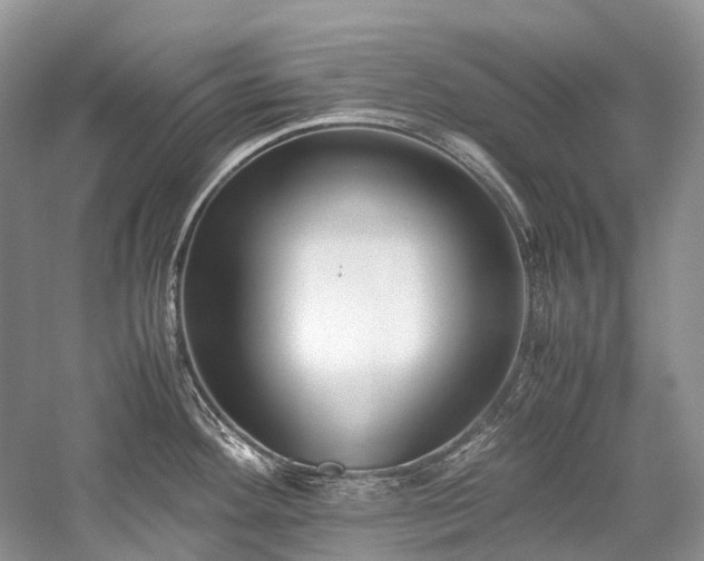 X0000059831292200510211203