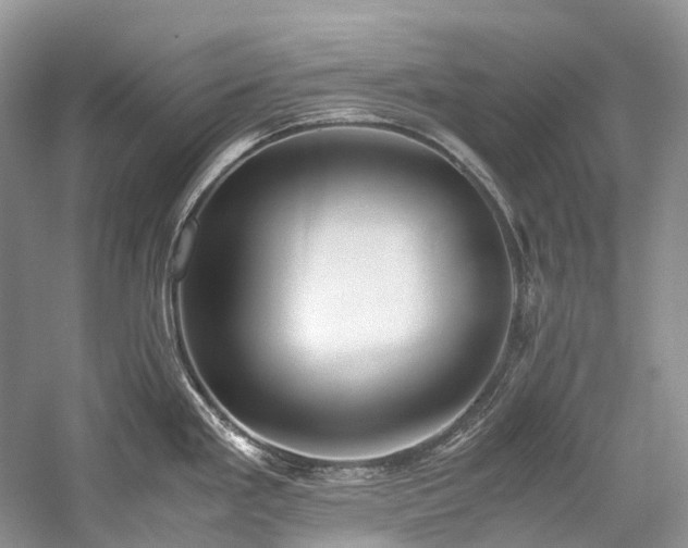 X0000059831293200510211203