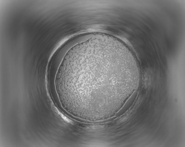 X0000059831294200510211203