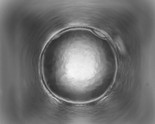 X0000059831295200510211203