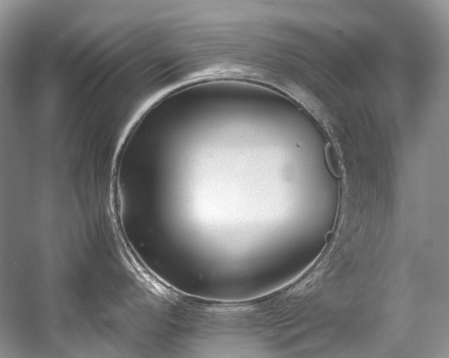 X0000059831296200510211203