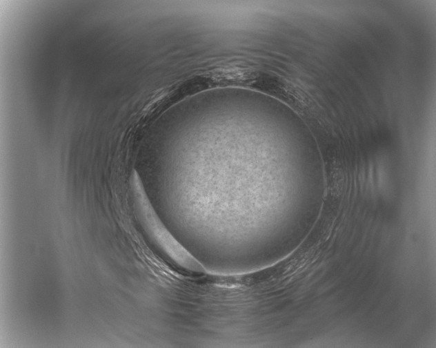 X0000059831297200510211202