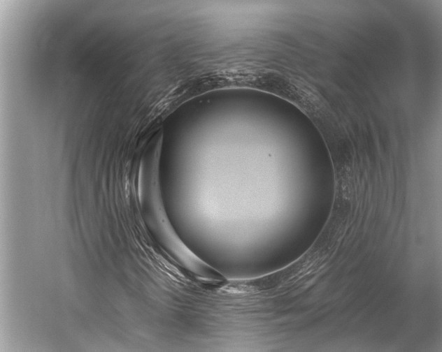 X0000059831298200510211202