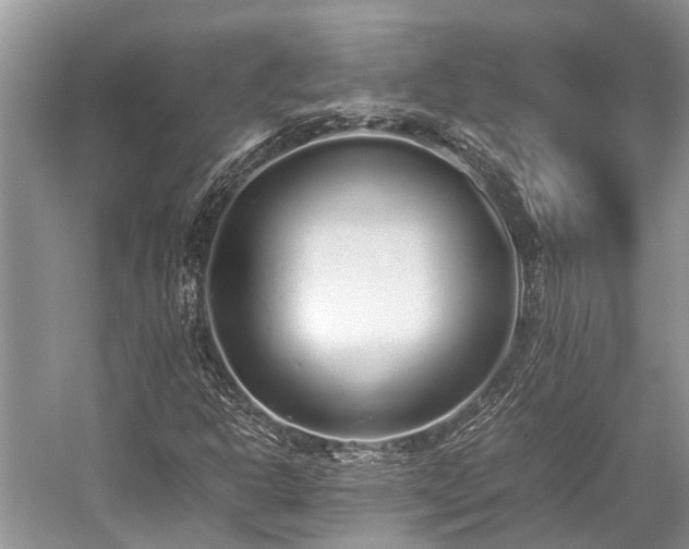 X0000059831302200510211202