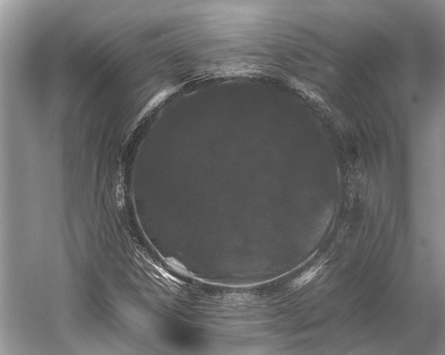 X0000059831306200510211202