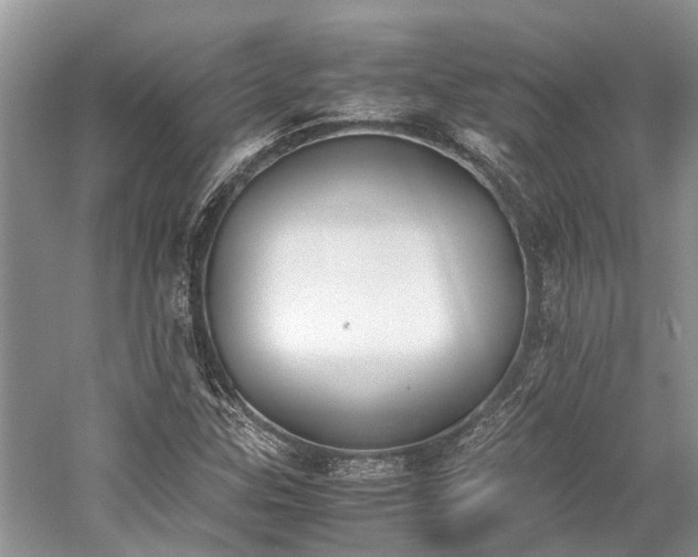 X0000059831307200510211202