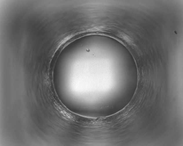 X0000059831308200510211202