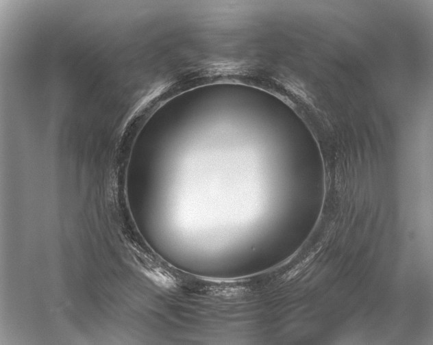 X0000059831309200510211202