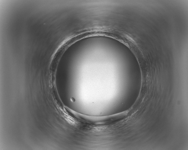 X0000059831310200510211202