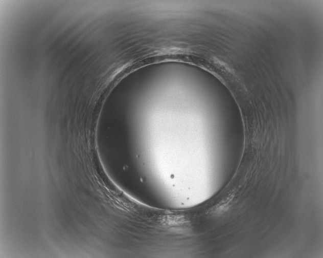 X0000059831313200510211202