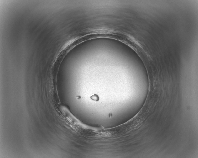 X0000059831315200510211202