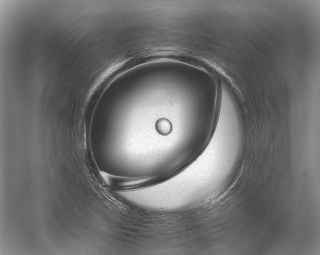 X0000059831317200510211202