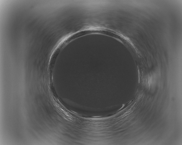 X0000059831319200510211202