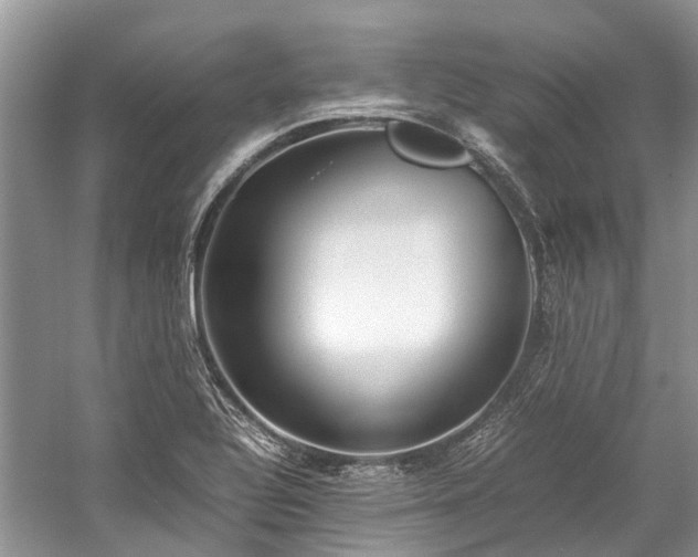 X0000059831320200510211202