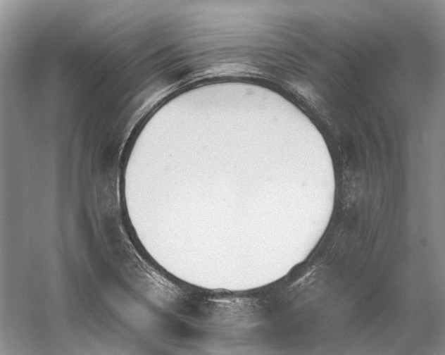 X0000059831322200510211203