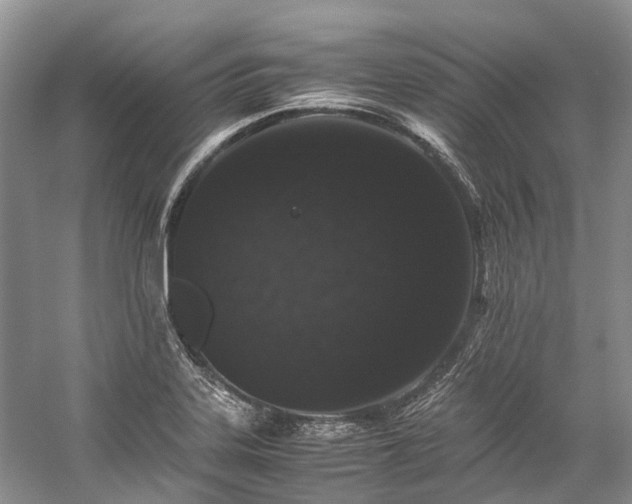 X0000059831323200510211203