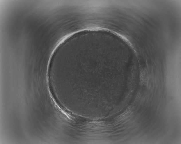 X0000059831327200510211203