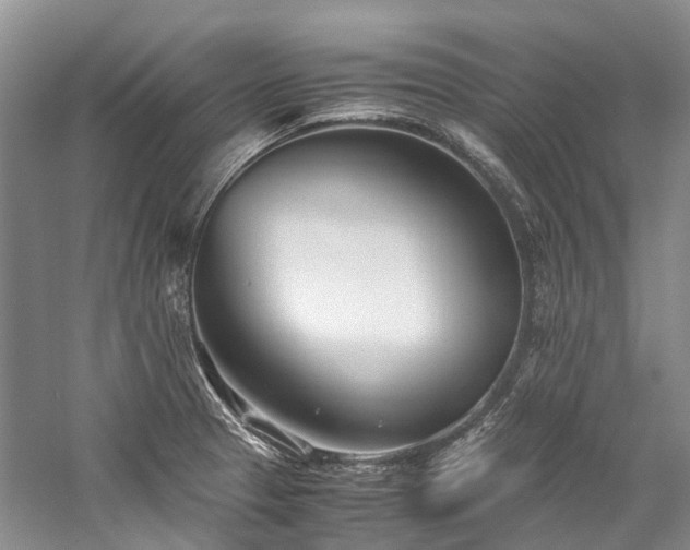 X0000059831329200510211203