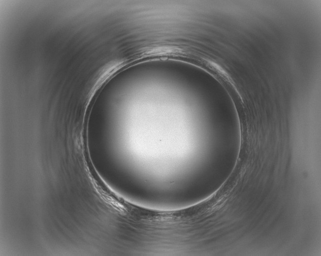 X0000059831330200510211203