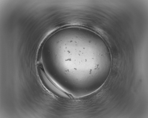 X0000059831331200510211203