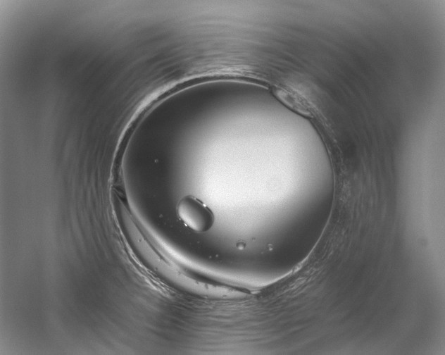 X0000059831332200510211203