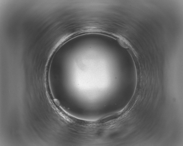 X0000059831333200510211203