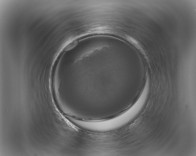 X0000059831334200510211203