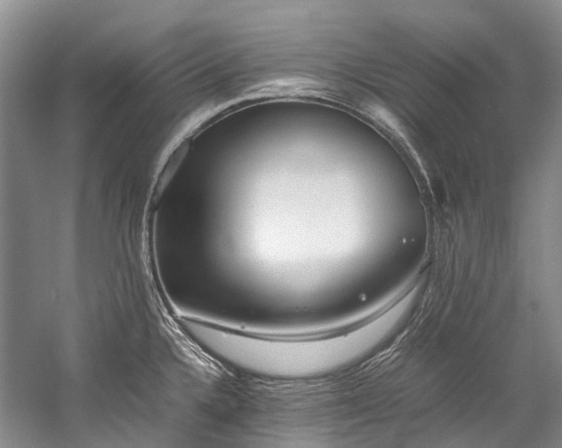 X0000059831336200510211203