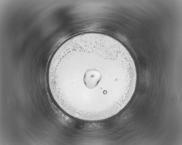 X0000059831338200510211203