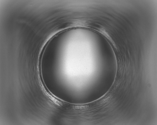 X0000059831339200510211203