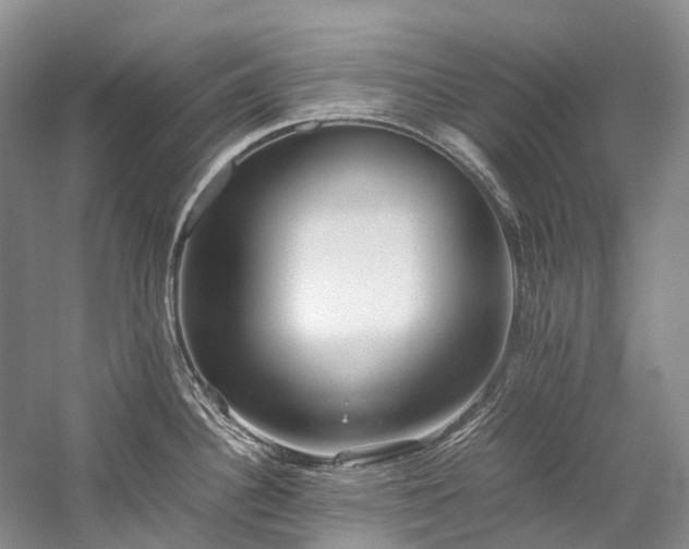 X0000059831340200510211203