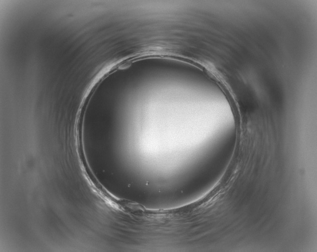 X0000059831341200510211203