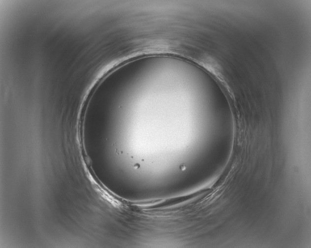 X0000059831342200510211203