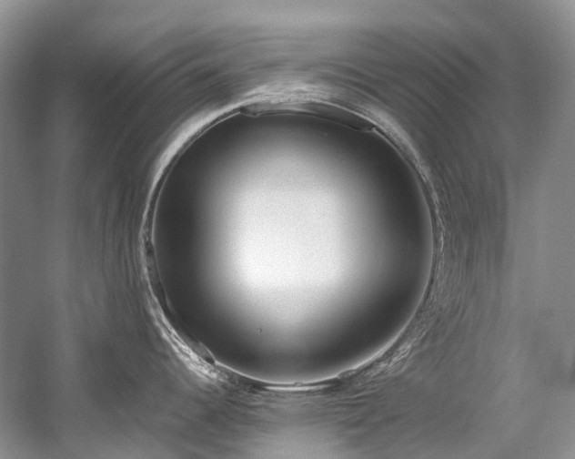 X0000059831344200510211203