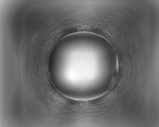 X0000059831345200510211202