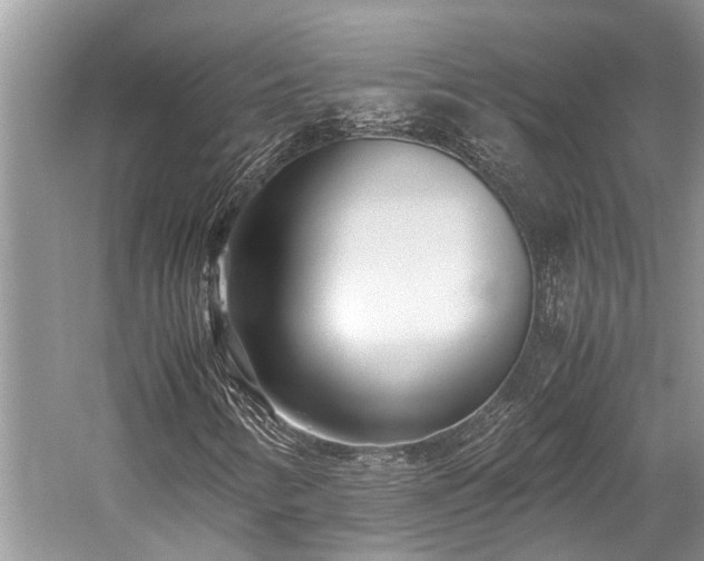 X0000059831346200510211202