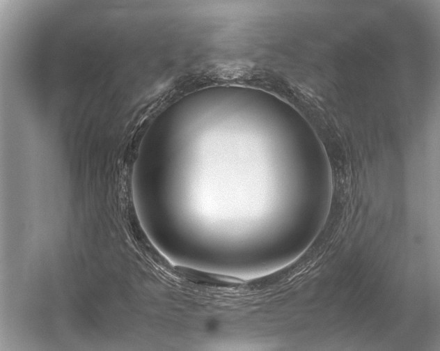 X0000059831349200510211202