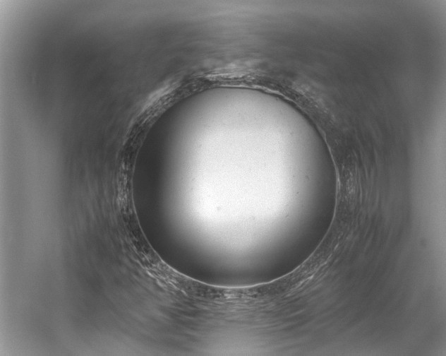 X0000059831350200510211202