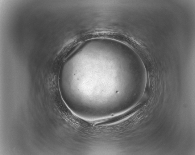 X0000059831351200510211202