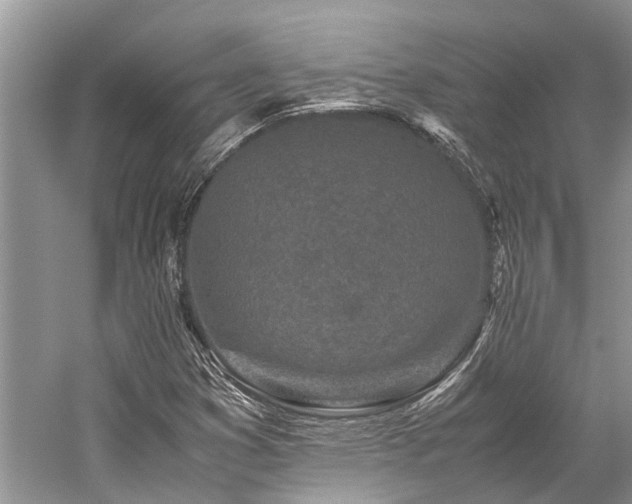 X0000059831353200510211202