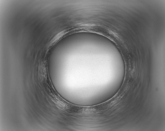 X0000059831354200510211202