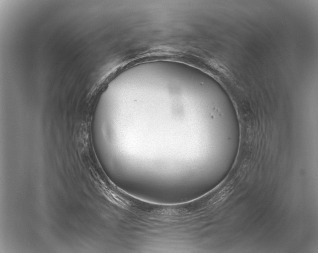 X0000059831355200510211202