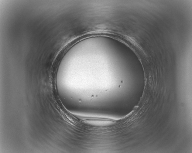 X0000059831356200510211202