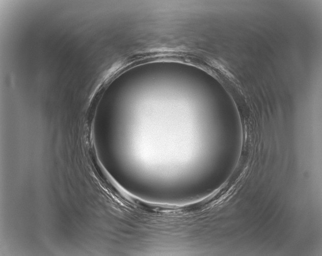 X0000059831357200510211202