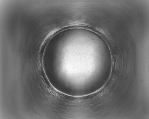 X0000059831358200510211202