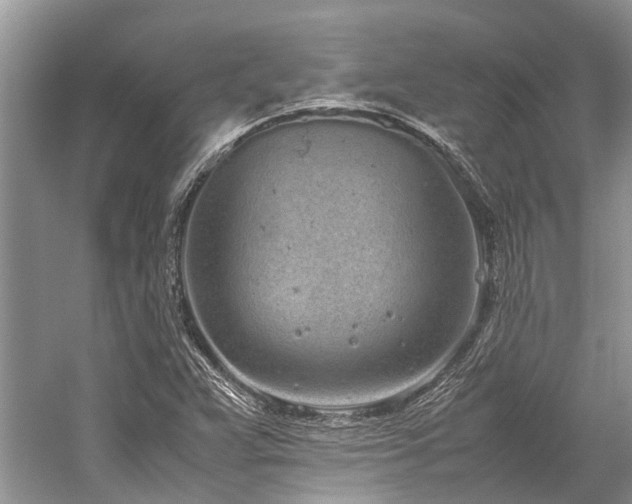 X0000059831359200510211202