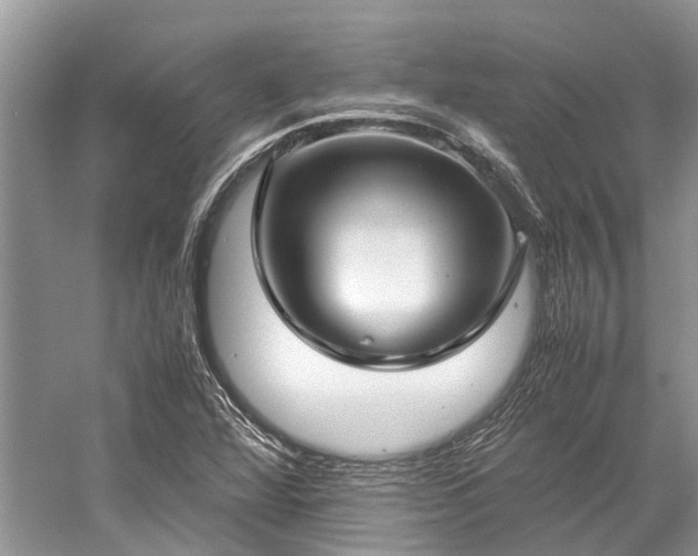 X0000059831360200510211202