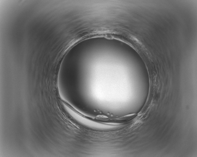 X0000059831361200510211202